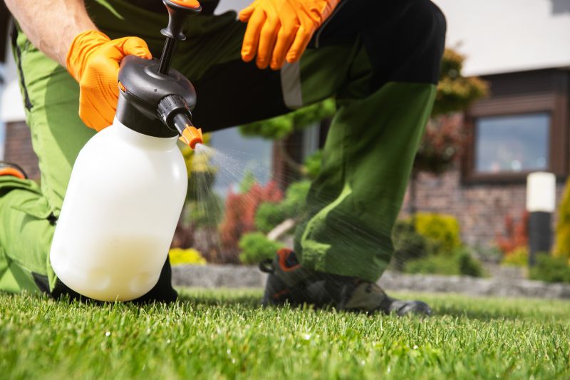 Lawn Weed Spraying Service